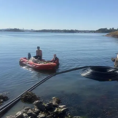 Roaldspiren Bed & Breakfast